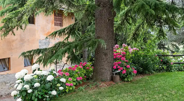 Manor house in Ovada