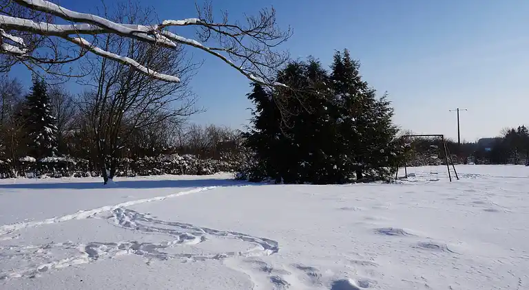 Sommerhus i Robertville