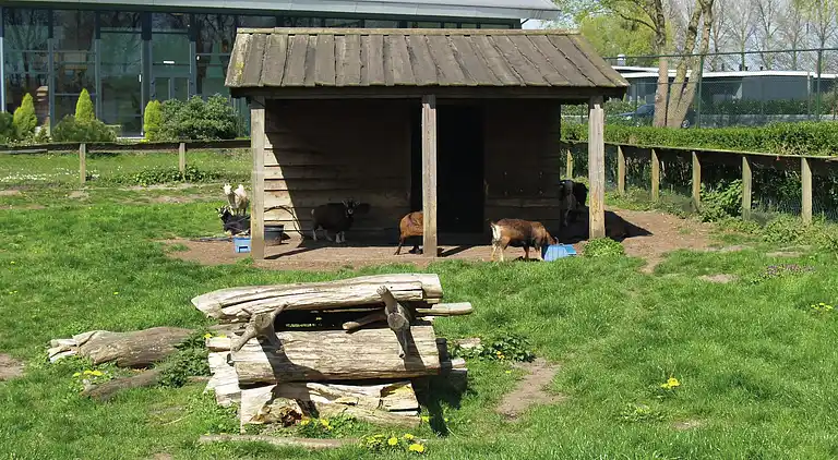 Hytte i Dordtse Biesbosch