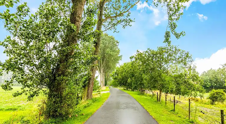 Sommerhus i Breskens