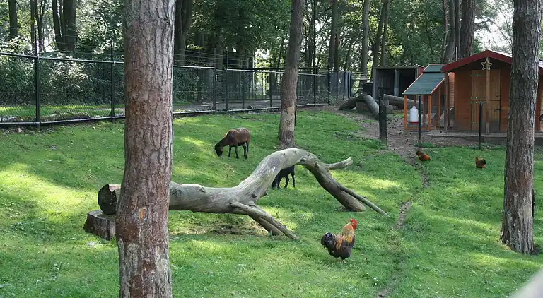 Sommerhus i Brunssum