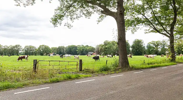 Appartement in Twekkelo