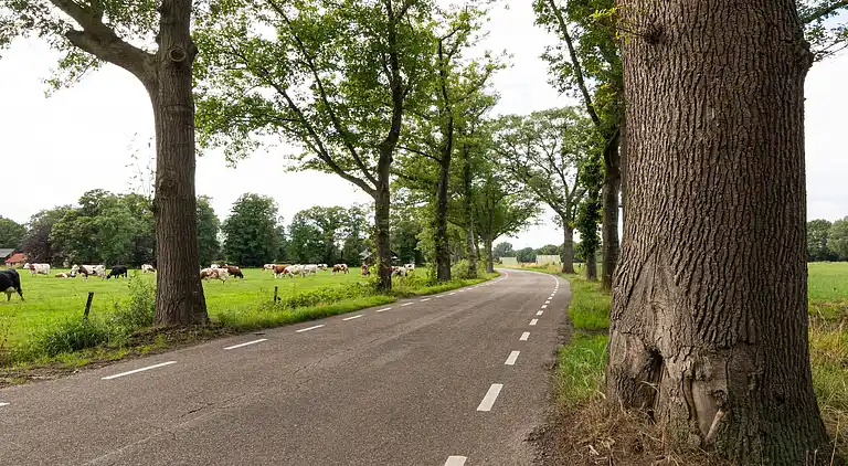 Appartement in Twekkelo