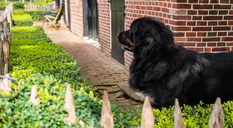Appartement in Twekkelo
