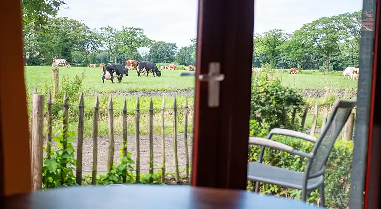 Appartement in Twekkelo