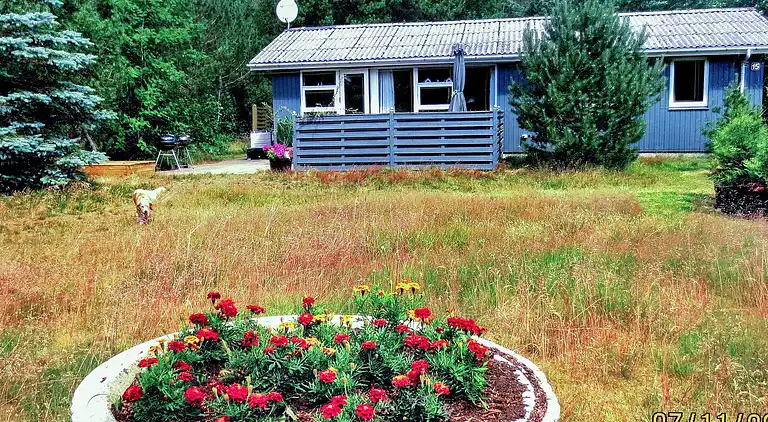 Holiday home in Trend