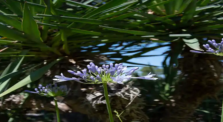Villa in Roquebrune-sur-Argens