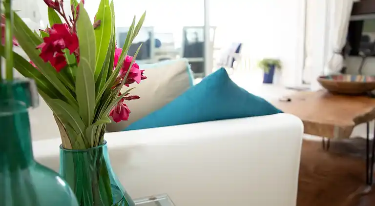 Villa in Roquebrune-sur-Argens