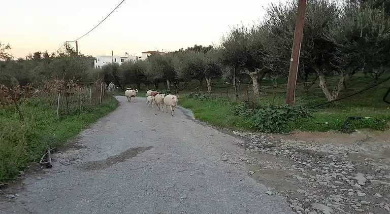Villa in Τοπική Κοινότητα Μέσης