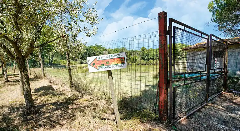 Ferienhaus in Castiglione del Lago
