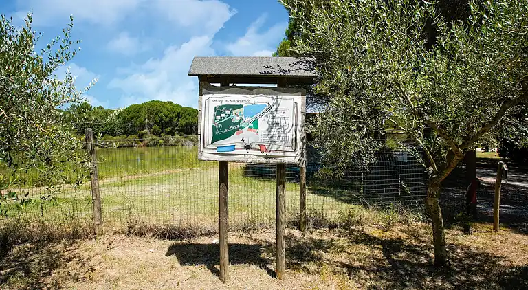 Ferienhaus in Castiglione del Lago