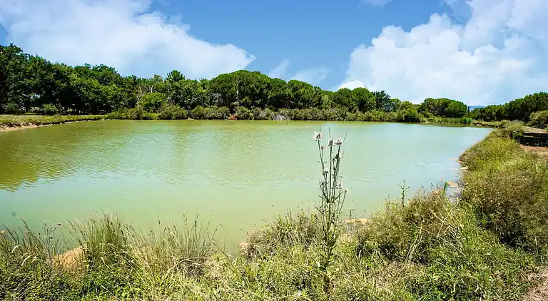 Ferienhaus in Castiglione del Lago