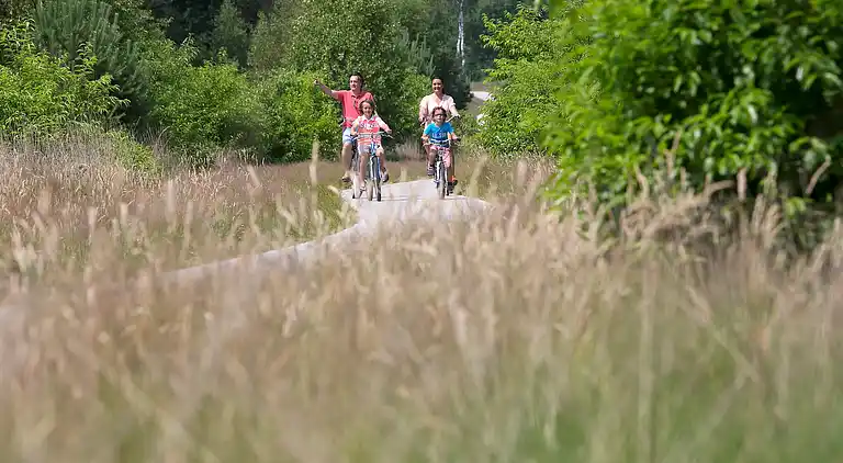 Holiday home in Lochem