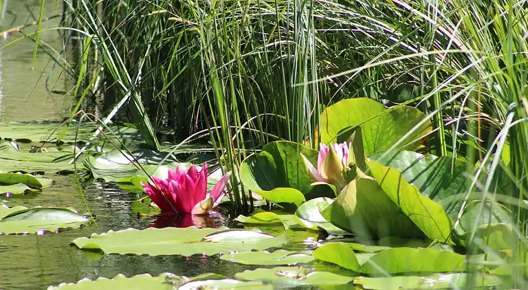 Holiday home in Ouroux-en-Morvan