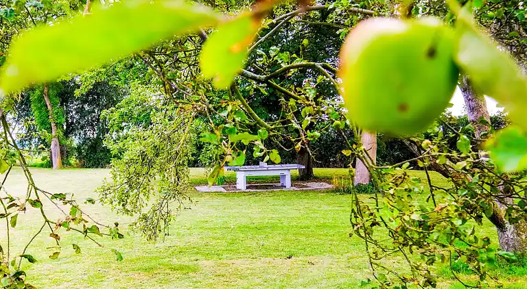 Sommerhus i Zwartewaal