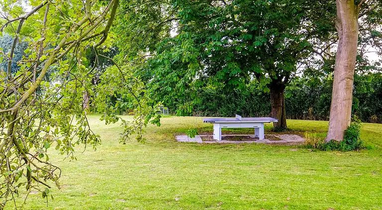 Sommerhus i Zwartewaal