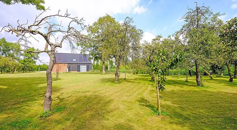 Sommerhus i Zwartewaal