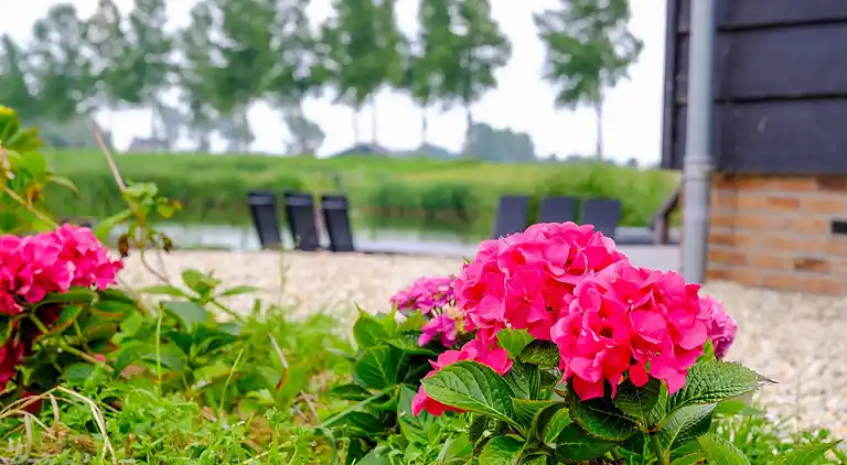 Sommerhus i Zwartewaal