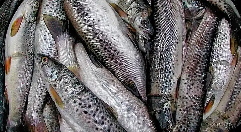 Holiday home in Helgheim