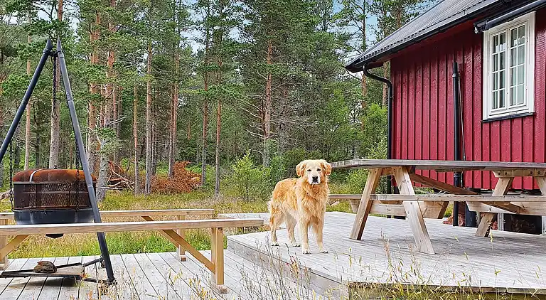 Semesterbostad i Vaage