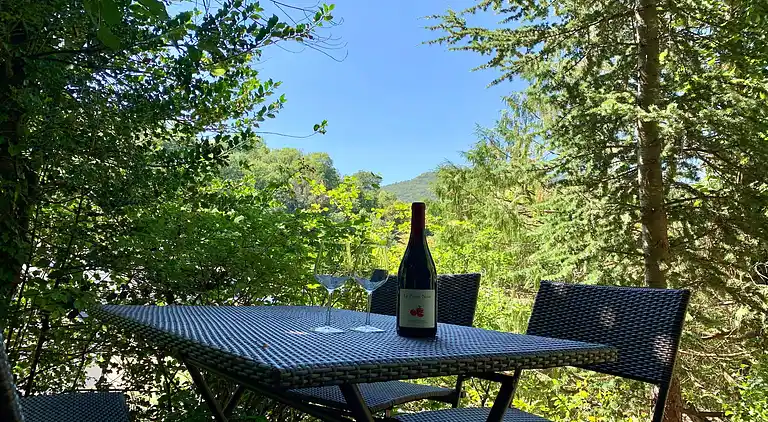 Ferielejlighed i Saint-Nectaire