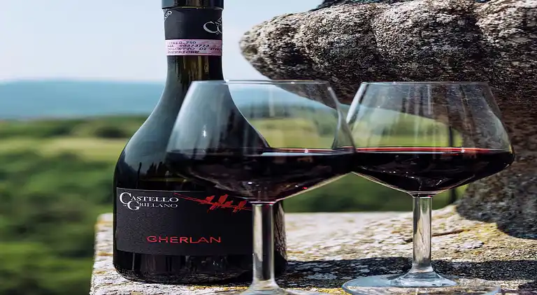 Manor house in Ovada