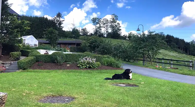 Ferielejlighed i Sellinghausen