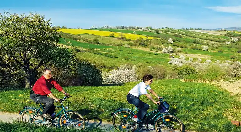 Holiday home in Lutzmannsburg