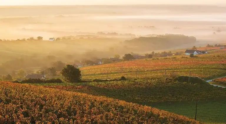 Holiday home in Lutzmannsburg