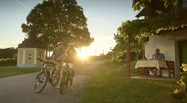 Holiday home in Lutzmannsburg