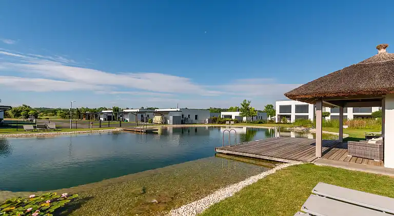 Holiday home in Lutzmannsburg