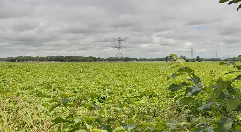 Holiday home in Hoge Hexel