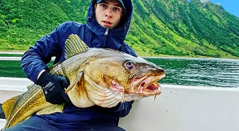 Holiday home in Sifjord