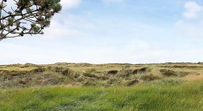 Holiday home in Pandrup