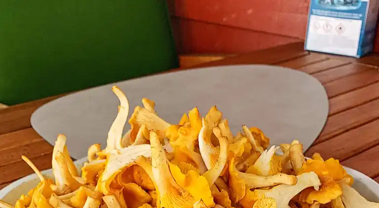 Holiday home in Sandviken