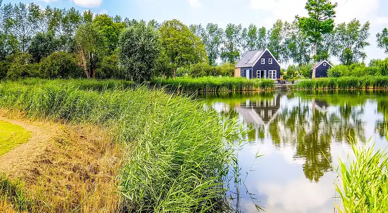 Sommerhus i Zwartewaal