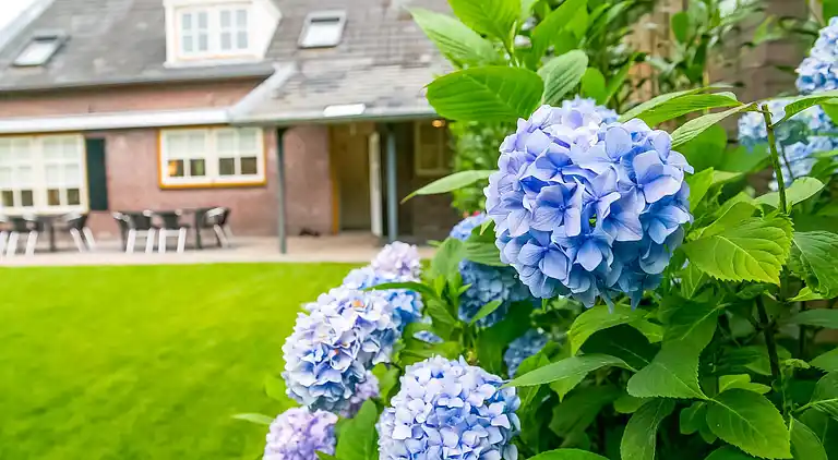 Semesterbostad i Diessen