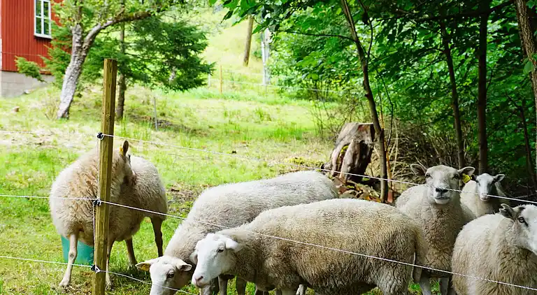 Holiday home in Uddevalla V