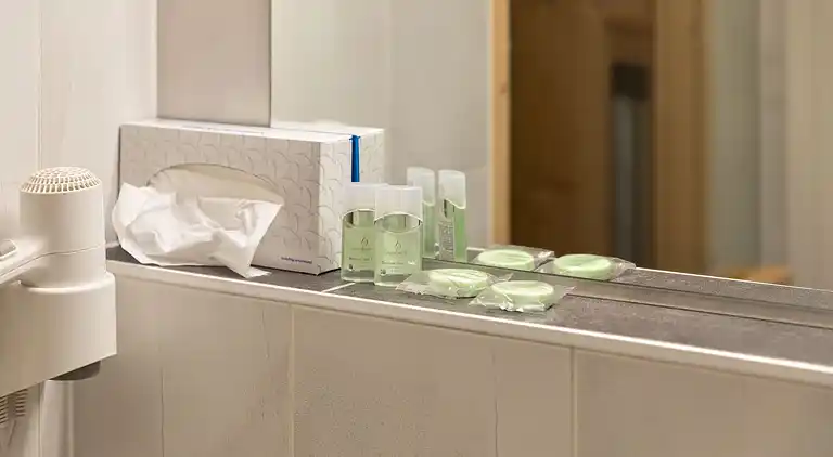 Apartment in Maria Alm am Steinernen Meer