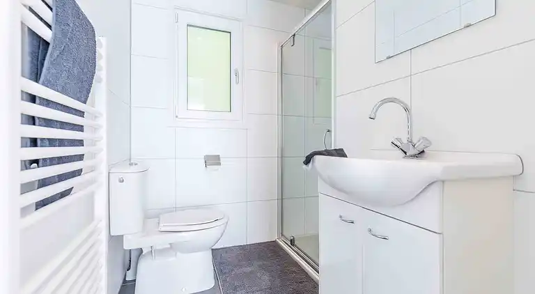 Cottage in South Holland