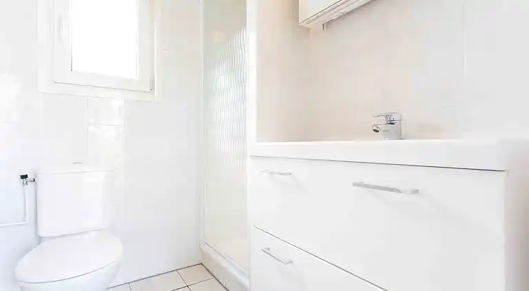 Cottage in South Holland