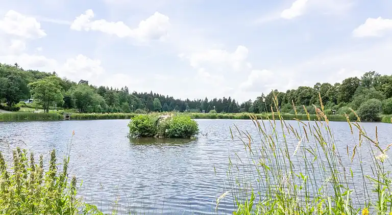 Ferielejlighed i Hahnenklee