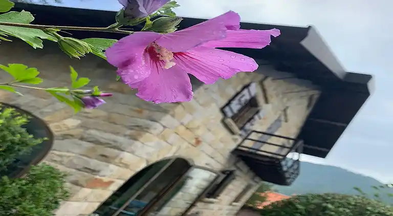 Holiday home in San Romolo