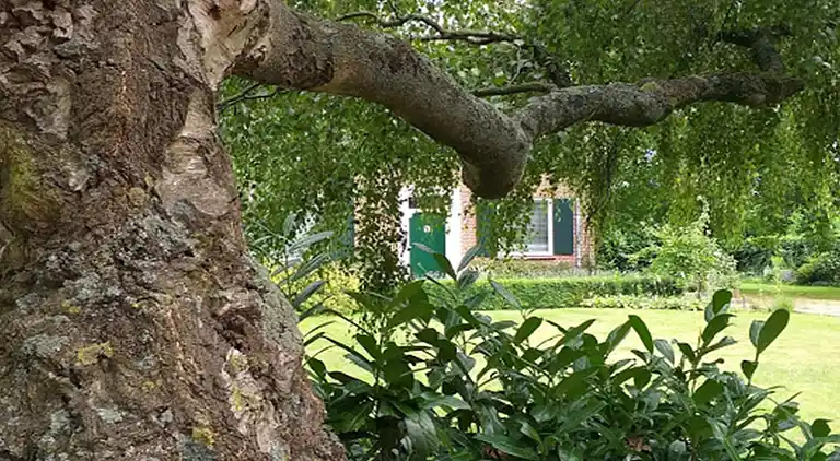 Ferienhaus in Soerendonk