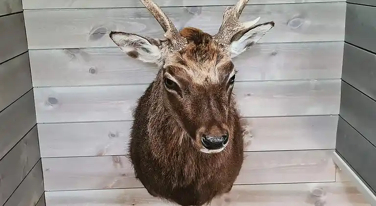 Holiday home in Rauland