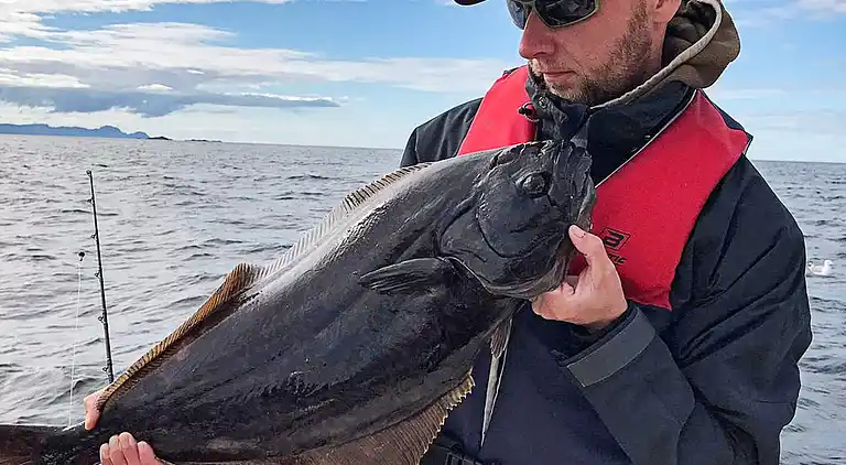 Holiday home in Sifjord
