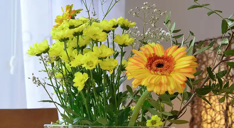 Ferielejlighed i Diemelsee