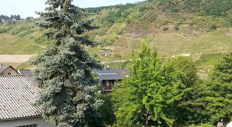 Ferielejlighed i Wolf