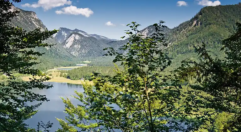 Ferielejlighed i Vordermiesenbach