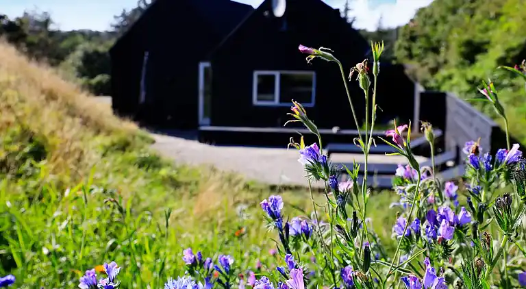 Holiday home in Blokhus